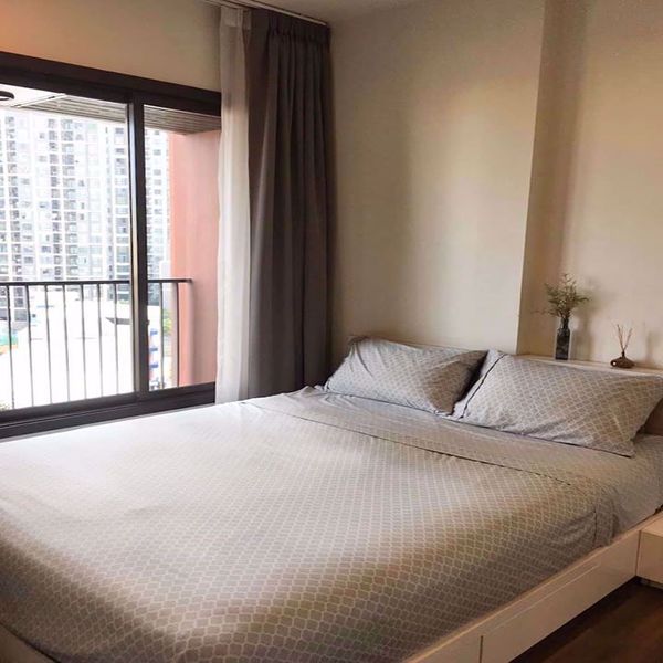 Picture of 1 bed Condo in WYNE Sukhumvit Watthana District C08104