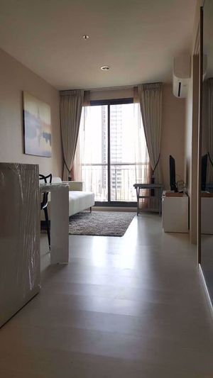 รูปภาพ 1 bed Condo in Rhythm Sukhumvit 42 Phra Khanong Sub District C08154