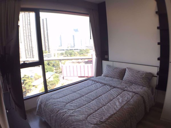 Picture of 2 bed Condo in Ideo Mobi Asoke Bangkapi Sub District C08185