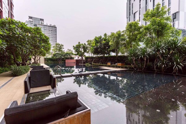 Picture of 1 bed Condo in WYNE Sukhumvit Phra Khanong Sub District C08258