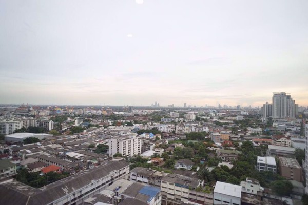 Picture of 1 bed Condo in WYNE Sukhumvit Phra Khanong Sub District C08276