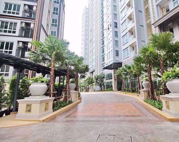 Picture of 1 bed Condo in Mayfair Place Sukhumvit 50 Phra Khanong Sub District C08280