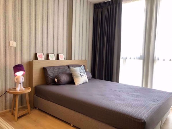 Picture of 1 bed Condo in Chambers On-Nut Station Bangchak Sub District C08322