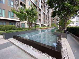 Picture of 1 bed Condo in Centric Ratchada - Huai Khwang Samsennok Sub District C08326