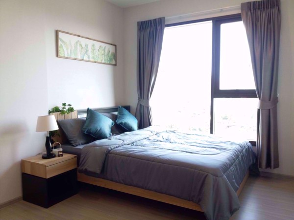 Picture of 1 bed Condo in Life Sukhumvit 62 Bangchak Sub District C08415