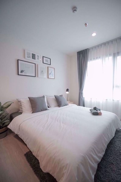 รูปภาพ 1 bed Condo in Life Asoke Huai Khwang District C08513