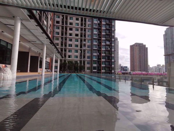 Picture of 1 bed Condo in Life Asoke Huai Khwang District C08725