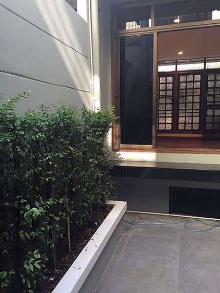 Picture of 3 bed House in Baan Sansiri Sukhumvit 67  Phrakhanongnuea Sub District H05331