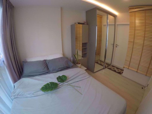 Picture of 1 bed Condo in Vtara Sukhumvit 36 Khlongtoei District C08741