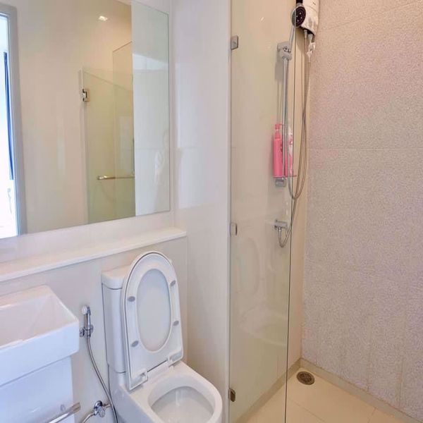 Picture of 2 bed Condo in Life Sukhumvit 62 Bangchak Sub District C08973