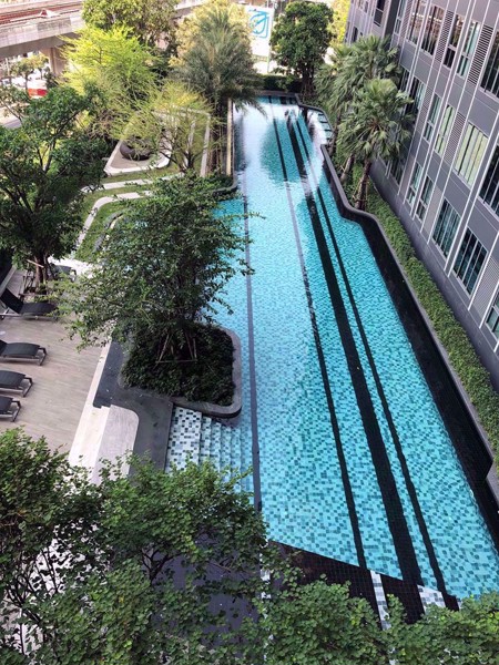 Picture of 1 bed Condo in Ideo Mobi Sukhumvit Eastgate Bang Na Sub District C09100