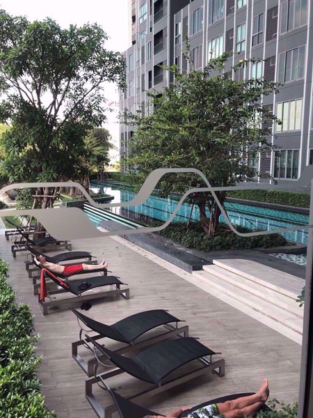 Picture of 1 bed Condo in Ideo Mobi Sukhumvit Eastgate Bang Na Sub District C09100