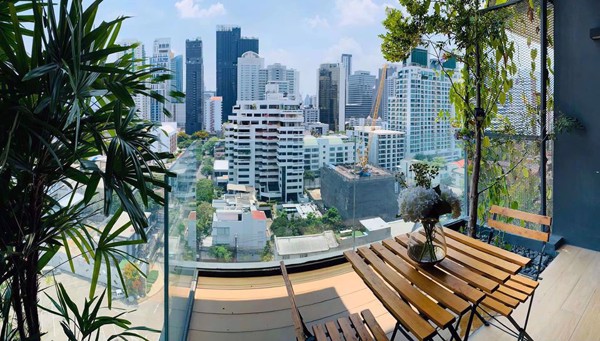 Picture of 2 bed Condo in Siamese Exclusive Sukhumvit 31 Khlong Toei Nuea Sub District C09278