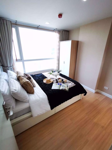 Picture of 2 bed Condo in Mayfair Place Sukhumvit 64 Bangchak Sub District C09608