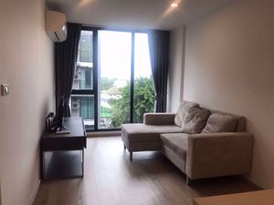 Picture of 1 bed Condo in Serio Sukhumvit 50 Phra Khanong Sub District C09939