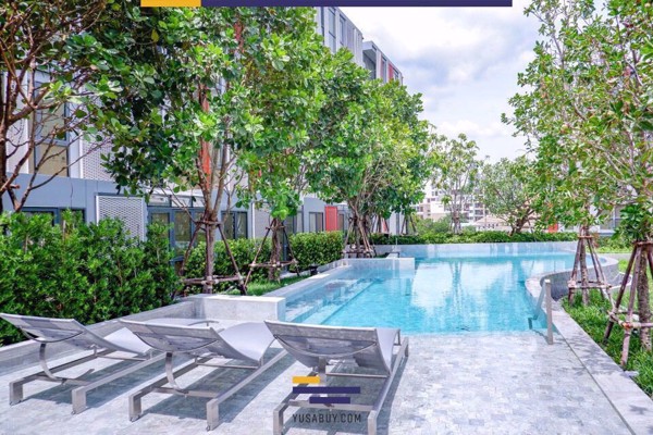 รูปภาพ 1 bed Condo in Taka Haus Ekamai 12 Khlong Tan Nuea Sub District C10087