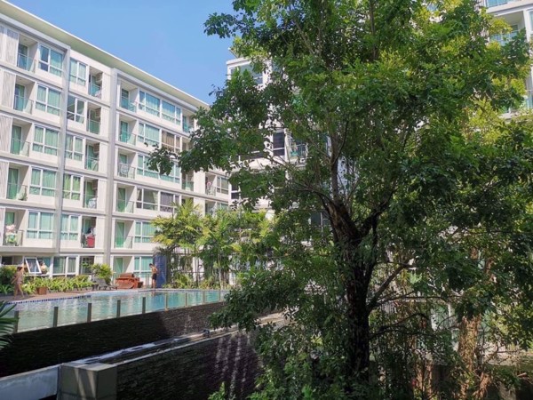 Picture of 2 bed Condo in Mayfair Place Sukhumvit 64 Bangchak Sub District C10120