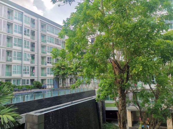 Picture of 2 bed Condo in Mayfair Place Sukhumvit 64 Bangchak Sub District C10120