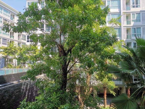 Picture of 2 bed Condo in Mayfair Place Sukhumvit 64 Bangchak Sub District C10120