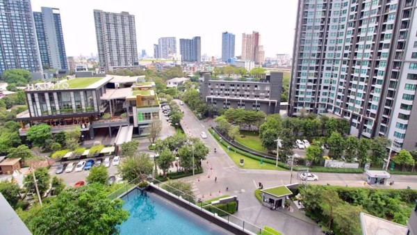 Picture of 1 bed Condo in The Base Park East Sukhumvit 77 Phrakhanongnuea Sub District C10127