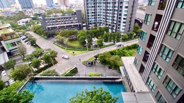 Picture of 1 bed Condo in The Base Park East Sukhumvit 77 Phrakhanongnuea Sub District C10127