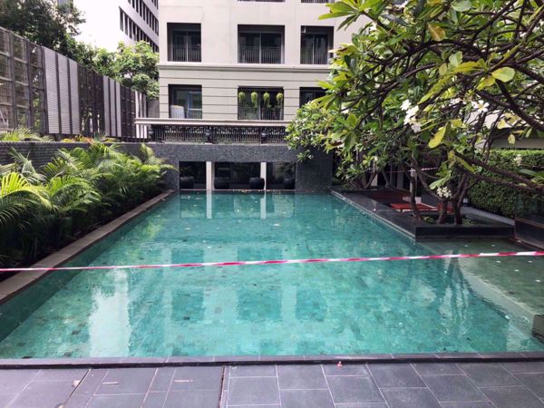 รูปภาพ 1 bed Condo in The Seed Memories Siam Wang Mai Sub District C10449