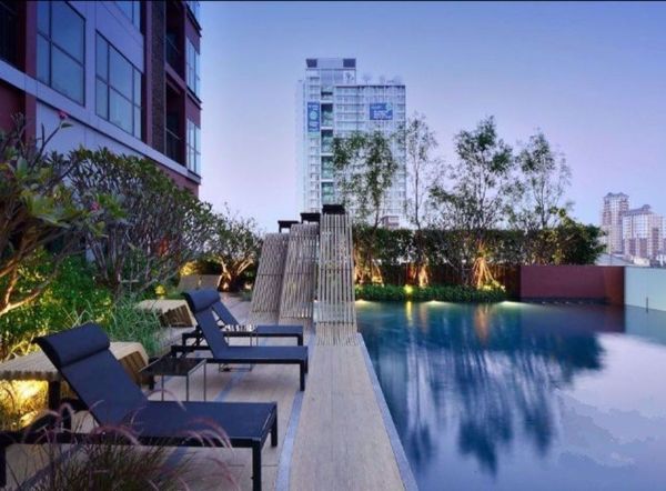 Picture of 1 bed Condo in WYNE Sukhumvit Phra Khanong Sub District C10689