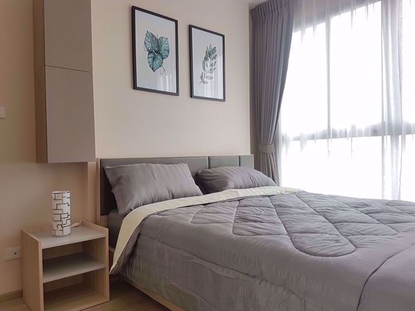 Picture of 2 bed Condo in IDEO O2 Bang Na Sub District C10755