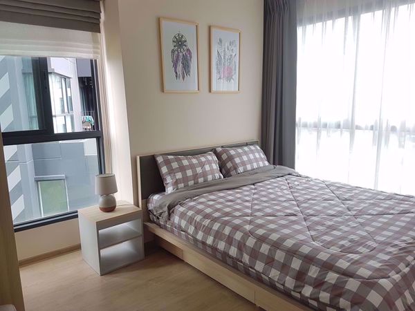 Picture of 2 bed Condo in IDEO O2 Bang Na Sub District C10755