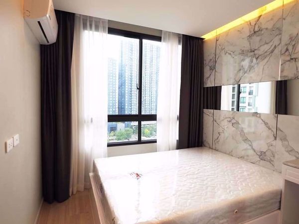 Picture of 1 bed Condo in Artemis Sukhumvit 77 Suanluang Sub District C10766