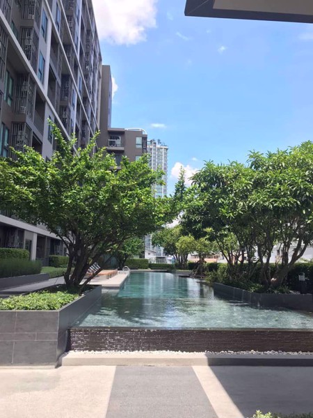 Picture of 1 bed Condo in Centric Huay Kwang Station Huai Khwang Sub District C10792