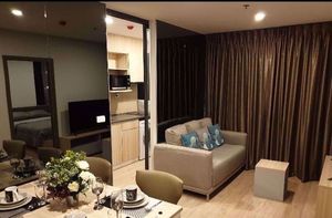 Picture of 2 bed Condo in IDEO O2 Bang Na Sub District C11028