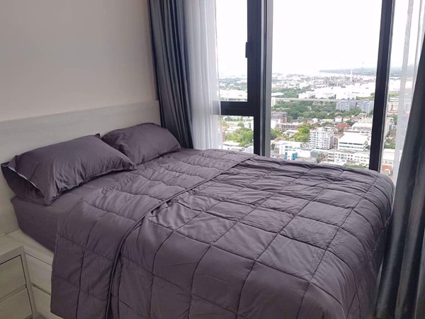 Picture of 1 bed Condo in The Line Sukhumvit 101 Bangchak Sub District C11088