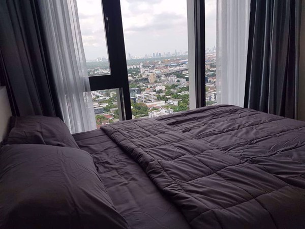 Picture of 1 bed Condo in The Line Sukhumvit 101 Bangchak Sub District C11088