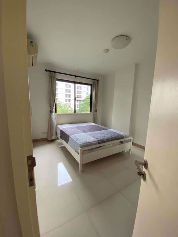 Picture of 2 bed Condo in Sense Sukhumvit Bang Na Sub District C11159