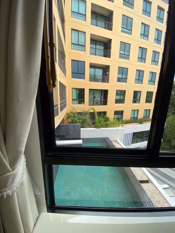 Picture of 2 bed Condo in Sense Sukhumvit Bang Na Sub District C11159