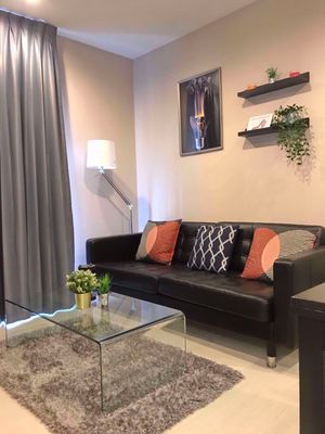 Picture of 2 bed Condo in Rhythm Sukhumvit 36-38 Phra Khanong Sub District C11328