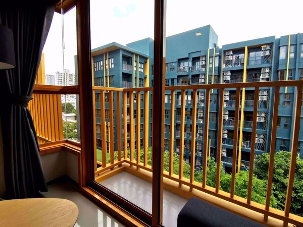 รูปภาพ 2 bed Condo in THE BASE Sukhumvit 50 Phra Khanong Sub District C11561