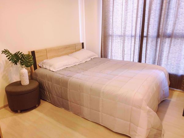 รูปภาพ 1 bed Condo in Life Sukhumvit 48 Phra Khanong Sub District C11655