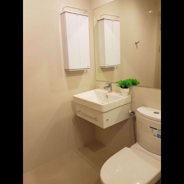 Picture of 1 bed Condo in Life Sukhumvit 48 Phra Khanong Sub District C11651