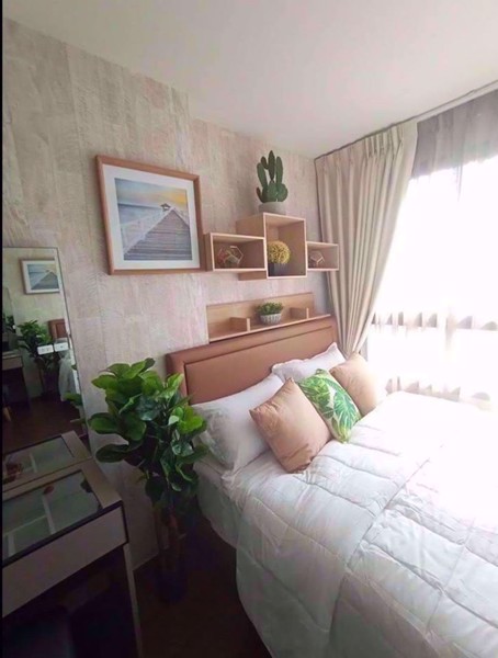 Picture of 2 bed Condo in Ideo Sukhumvit 93 Bangchak Sub District C11684