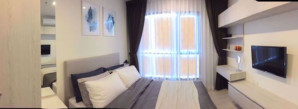 รูปภาพ 1 bed Condo in Life Sukhumvit 48 Phra Khanong Sub District C11698