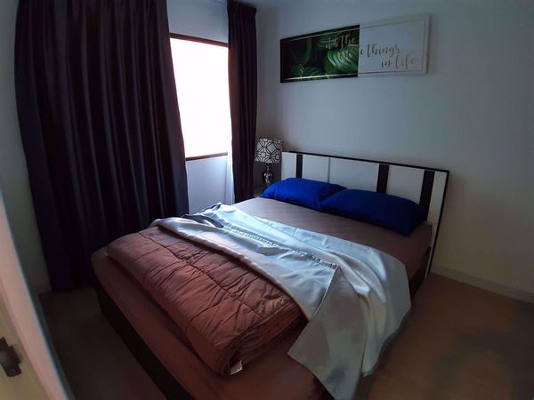 Picture of 1 bed Condo in The Nest Sukhumvit 22 Khlongtoei Sub District C11750