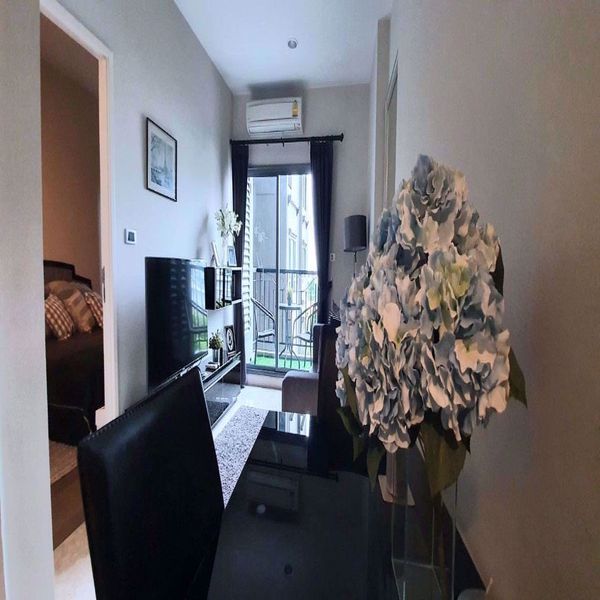 Picture of 1 bed Condo in The Crest Sukhumvit 34 Khlongtan Sub District C11777