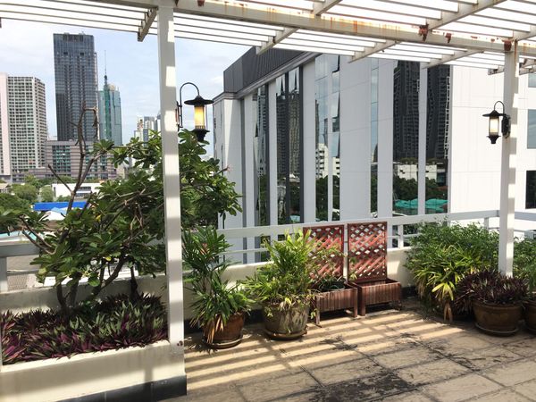 Picture of 4 bed Penthouse in Neo Aree Apartment Khlongtan Sub District P11068