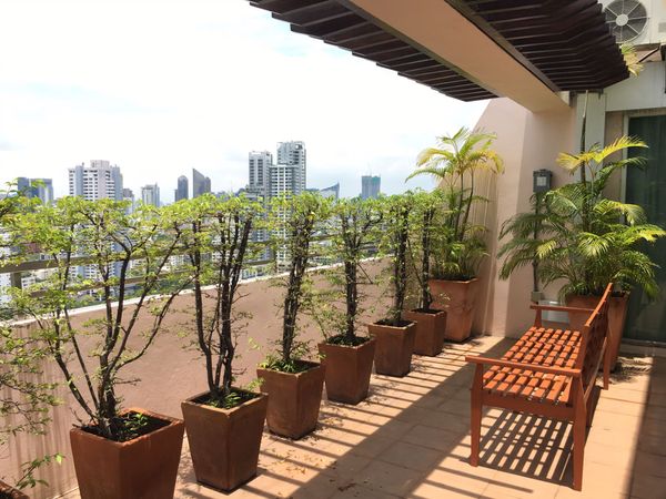 Picture of 4 bed Penthouse in Grand 39 Tower Khlong Tan Nuea Sub District P11069