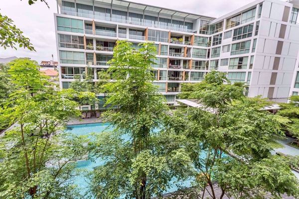 Picture of 2 bed Condo in Ficus Lane Phra Khanong Sub District C012214