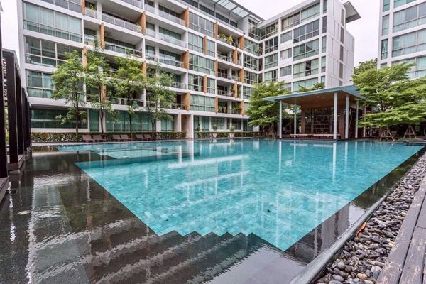 Picture of 2 bed Condo in Ficus Lane Phra Khanong Sub District C012214