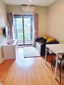 Picture of 1 bed Condo in Condolette Dwell Sukhumvit 26 Khlongtan Sub District C012219