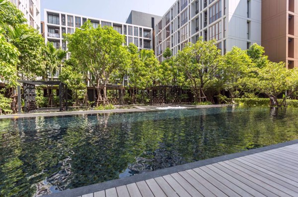 รูปภาพ 1 bed Condo in Hasu Haus Phrakhanongnuea Sub District C012409